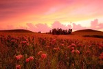 Photograph entitled Aproaching storm, Kansas Flint Hills