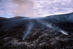 Photograph entitled After the prairie fire
