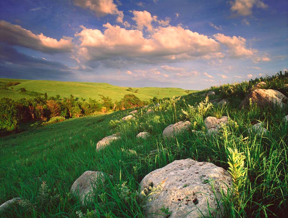 Limestone rock outcrop and tallgrass in summer, typical of the Kansas Flint Hills