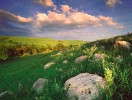 Limestone rock outcrop and tallgrass in summer, typical of the Kansas Flint Hills
