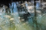 Photo entitled reflections of trees in frozen-over creek
