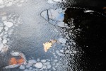 Photo entitled reflections of trees in iced-over creek