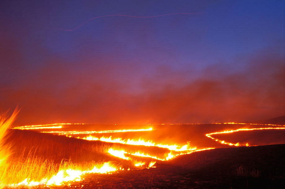 Photograph entitled Lines of burning tallgrass, Kansas Flint Hills
