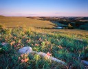 Photo entitled Springtime on the Konza Prairie