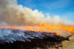 Photograph entitled Head fire, Kansas Flint Hills
