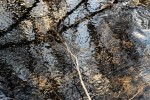 Photo of reflections seen in running stream