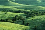 Photograph entitled Flint Hills in summer 