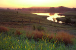 Photo entitled Morning on the prairie